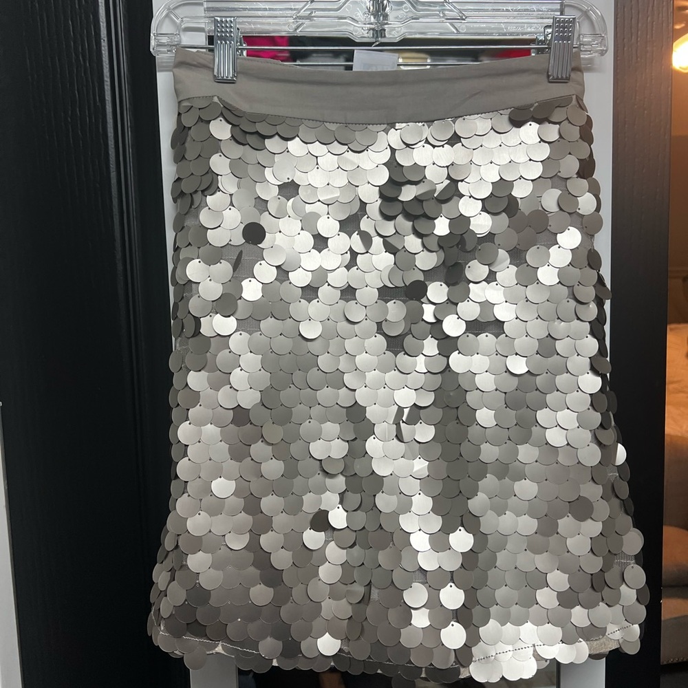 Pewter sequined skirt/skort.